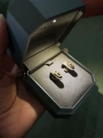 photo de Boucles d’oreilles Move Uno